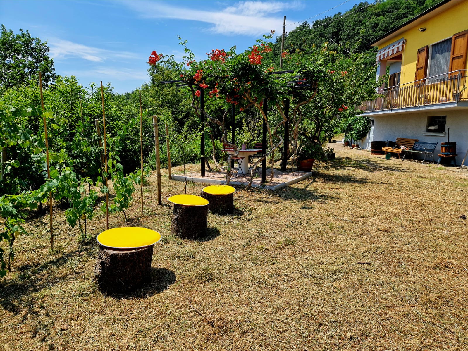 Giardino