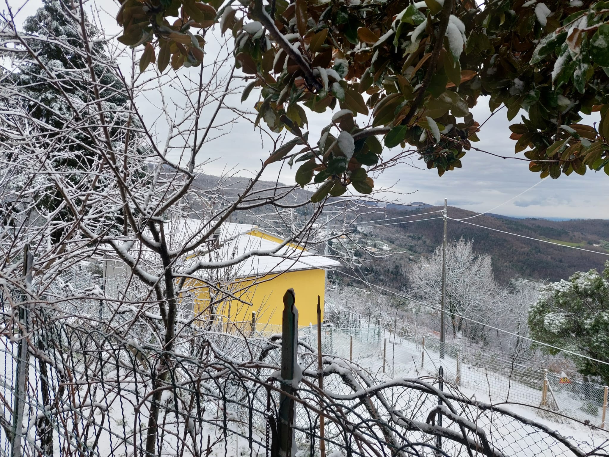 Paesaggio invernale